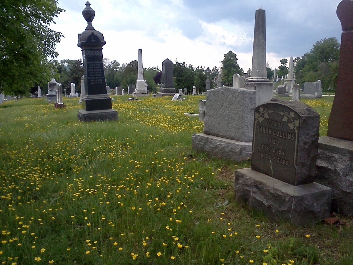 Gardner plot, Congressional Cemetery