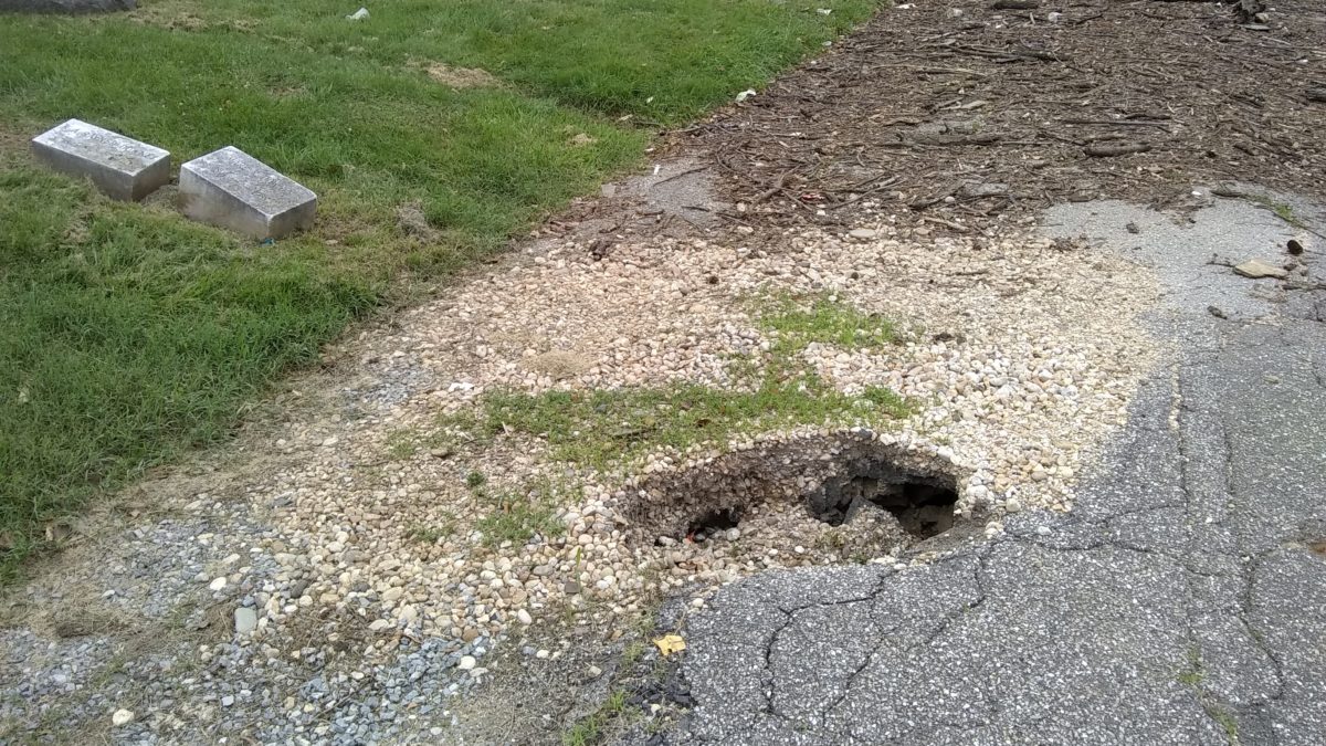 The sinkhole