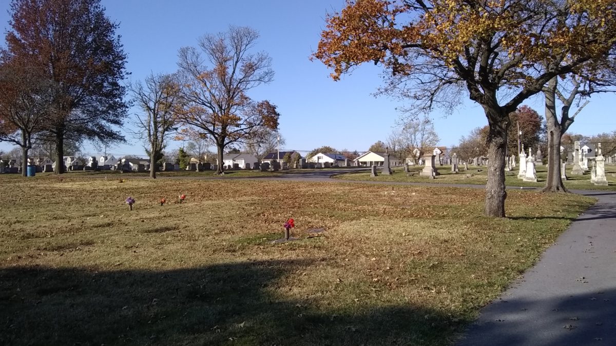 Looking across Holy Cross Cemetery