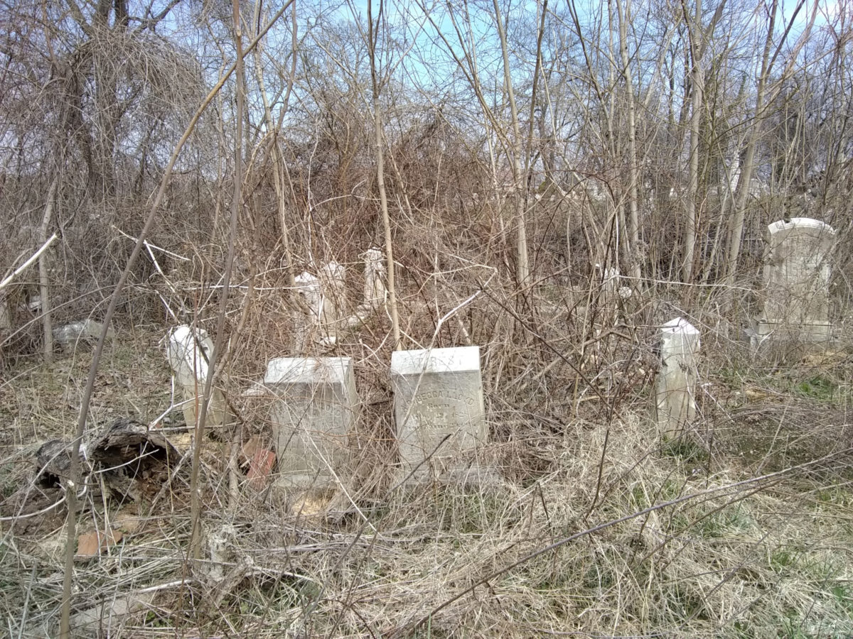 A cluster of standing headstones, inaccessible and overgrown