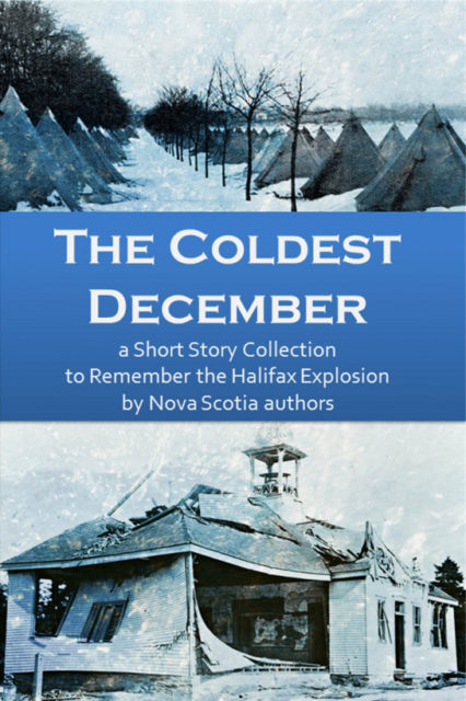 The Coldest December cover