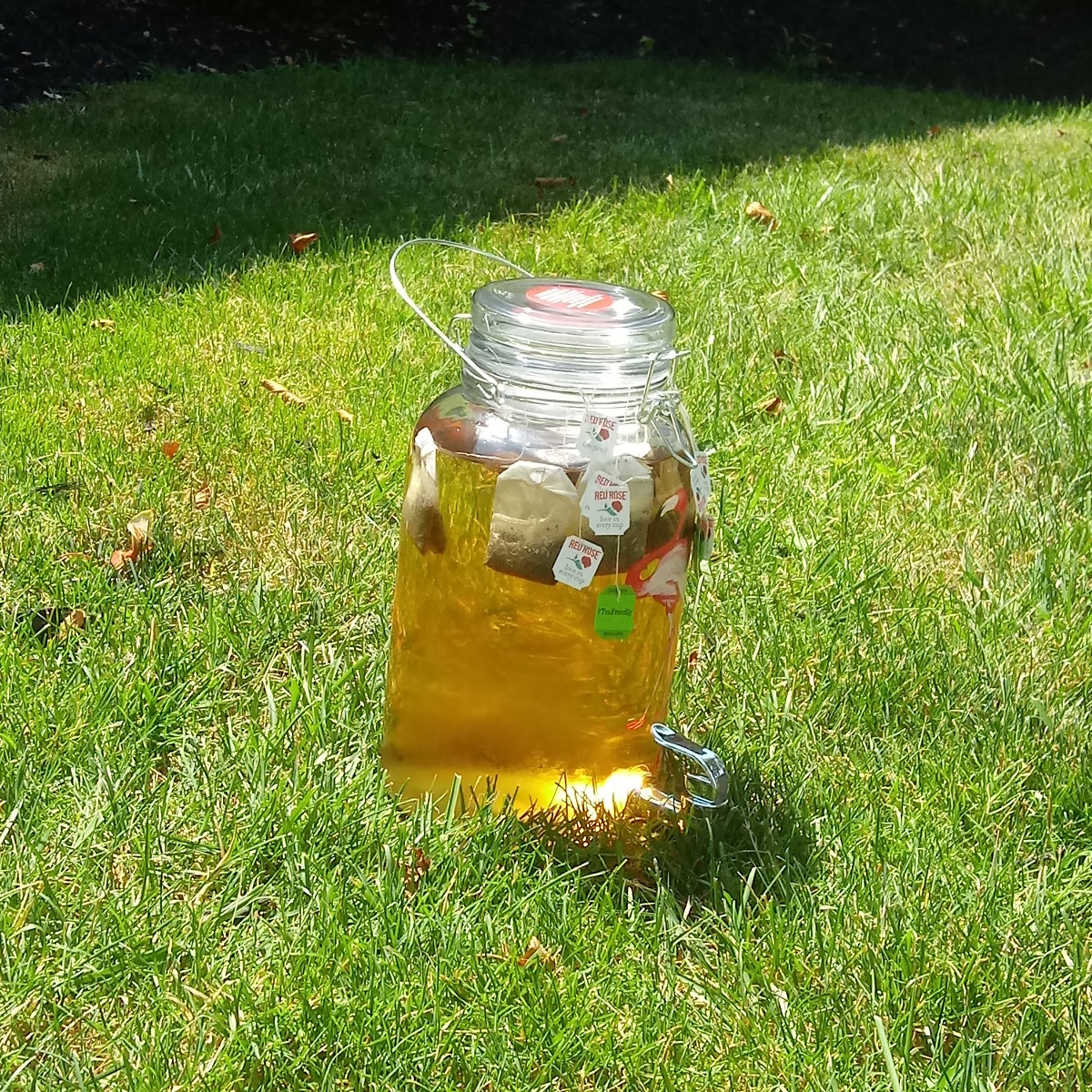 A tea jar, sitting in the sun
