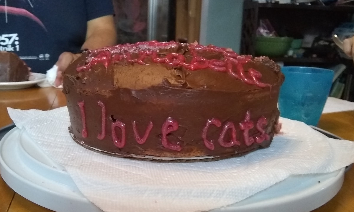 My friends' daughter's birthday cake when she turned six, with "I Love Cats" written on the icing