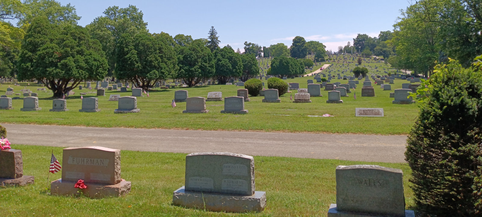 Looking Toward the George Street Entrance