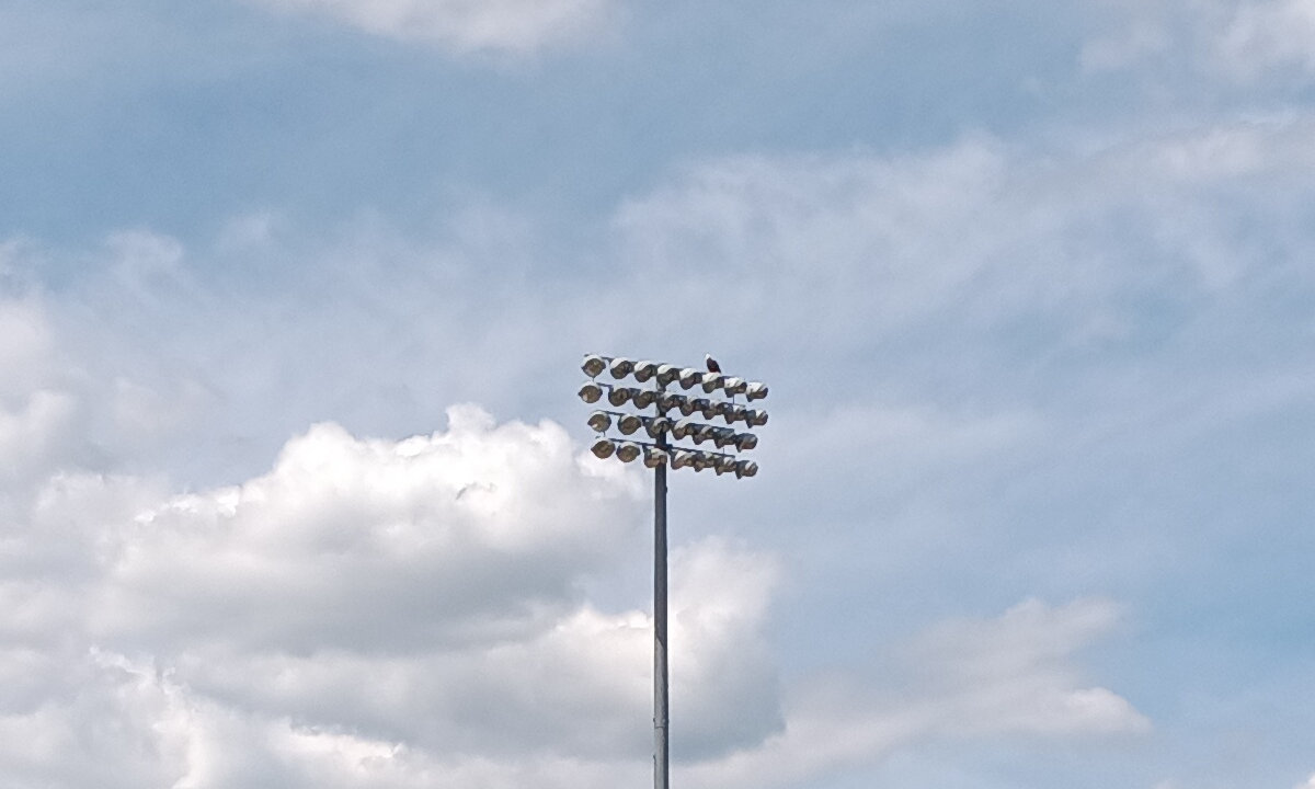 A bald eagle perched atop the light tower on the third base line