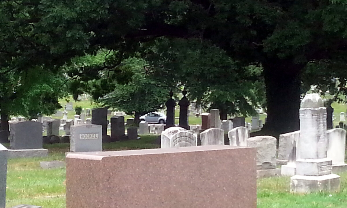Looking back toward my great-great-grandmother's grave, June 2017. Shadowed underneath the tree is the Biden monument I would see shattered in 2021 due to a falling tree.