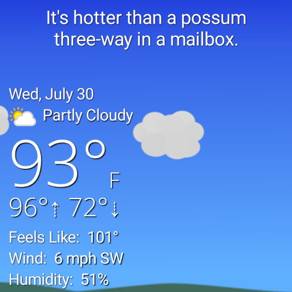Screenshot of WTForecast. Reads 'Hotter than a possum three-way in a mailbox'