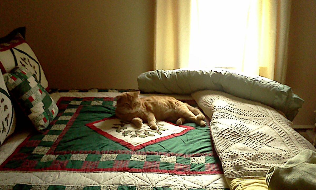 A yellow tabby cat sleeping on a bed covered with a Christmas quilt in a dimly lit bedroom