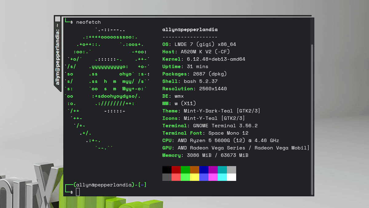 Screenshot of a terminal window open in WMX, showing the unique frame style of the windows