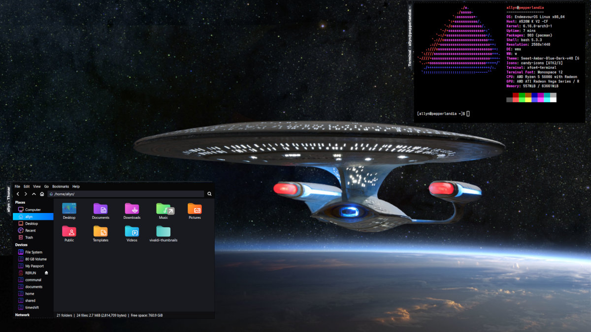 Screenshot of EndeavourOS with the WMX window manager with two windows open (files and a terminal). The Enterprise-D is the desktop wallpaper.