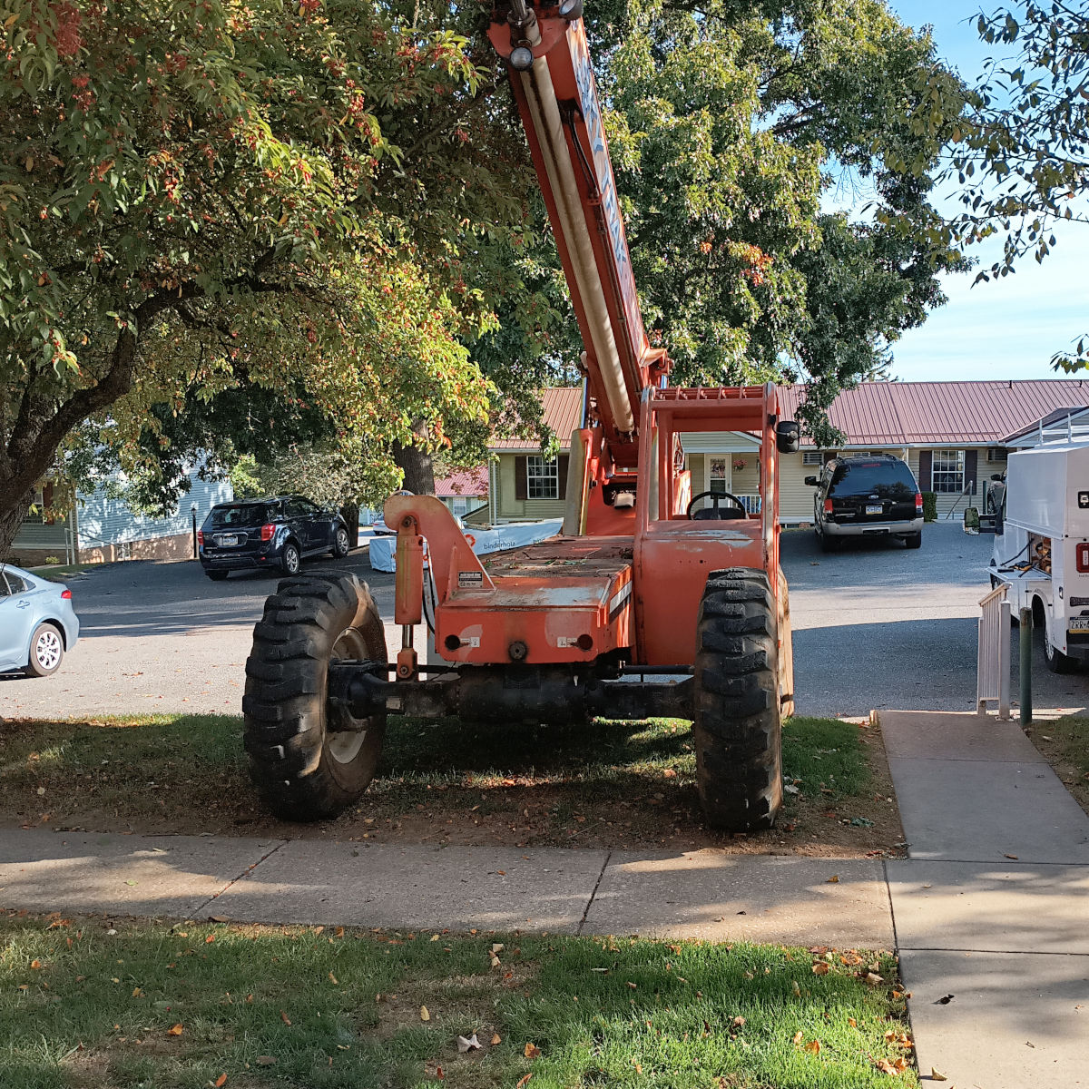 It's a crane! In my yard!