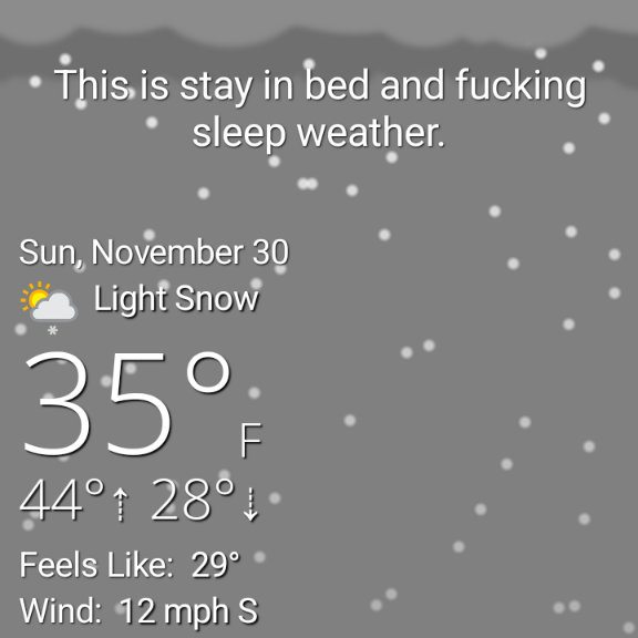 Screenshot of What the Forecast on my phone: This is stay in bed and fucking sleep weather.