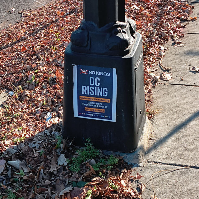A sign on a lamp post for the DC No Kings march back in October