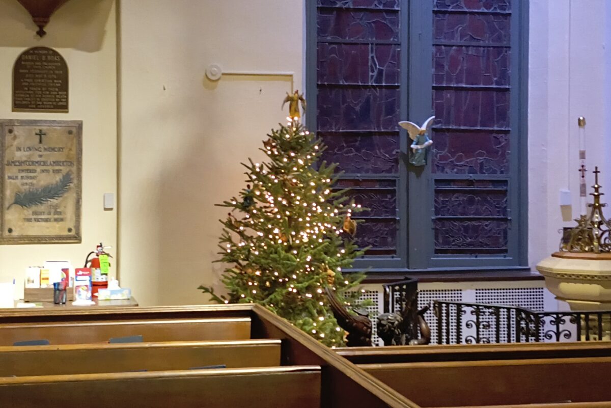 Christmas tree in the sanctuary of St. Stephen's Episcopal Cathedral in Harrisburg, December 20
