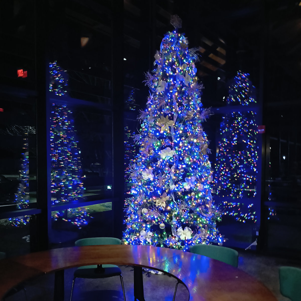 A Christmas tree reflected in the windows behind it