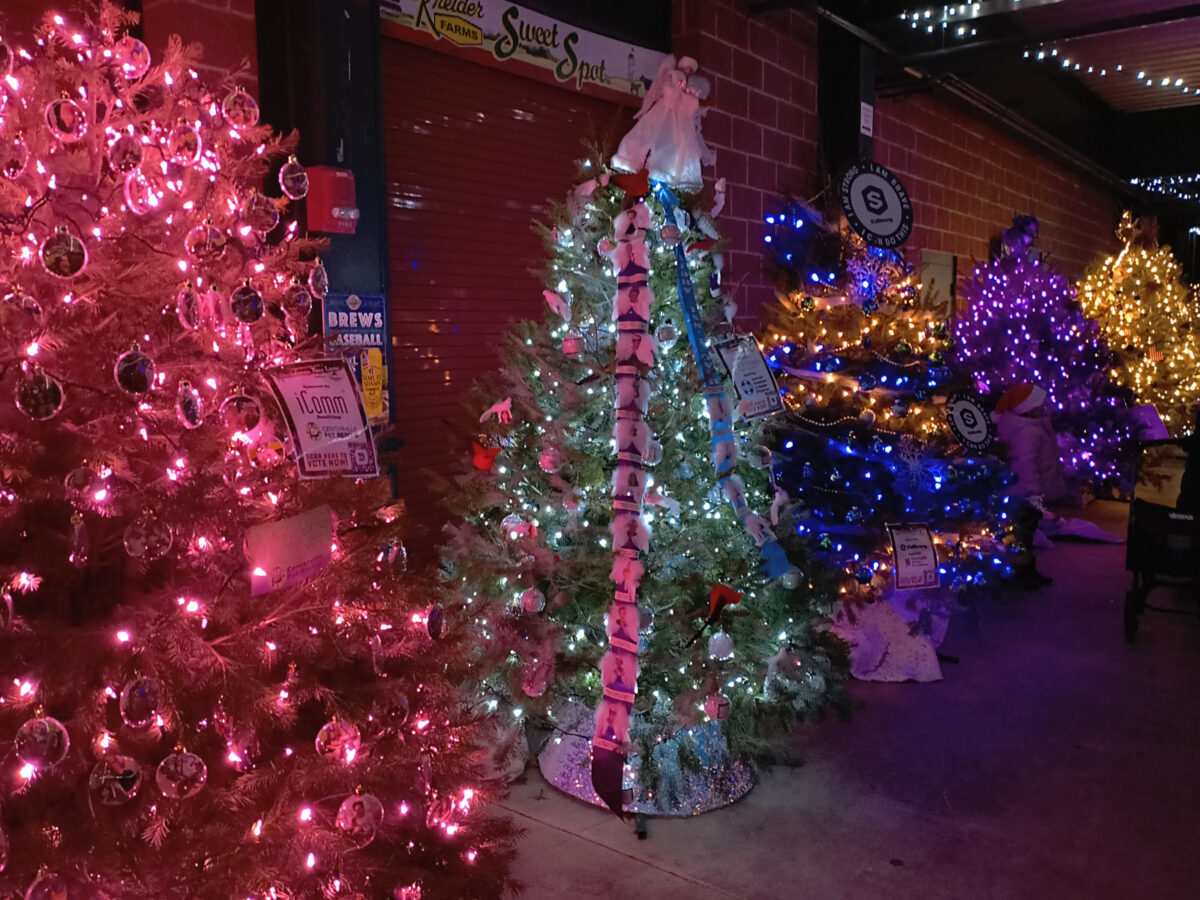 A group of illuminated trees