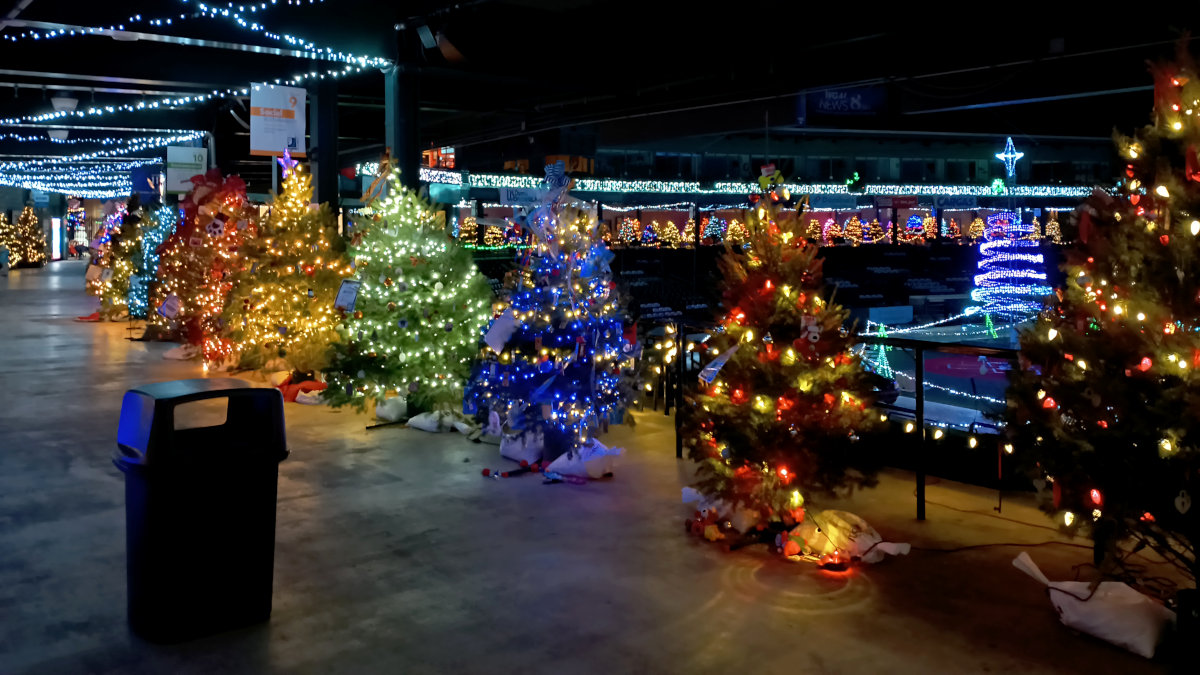 Trees along the first base concourse