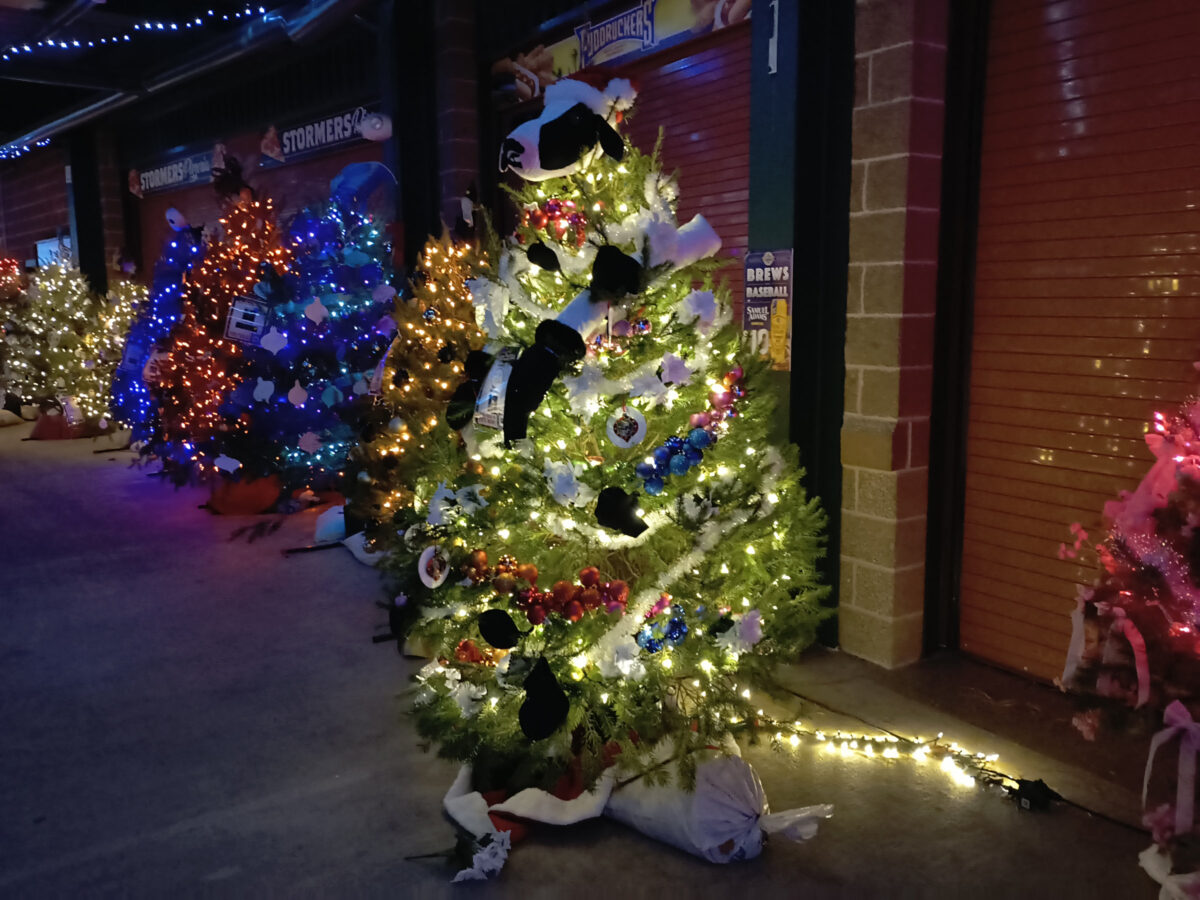 A Christmas tree, dressed like a cow!