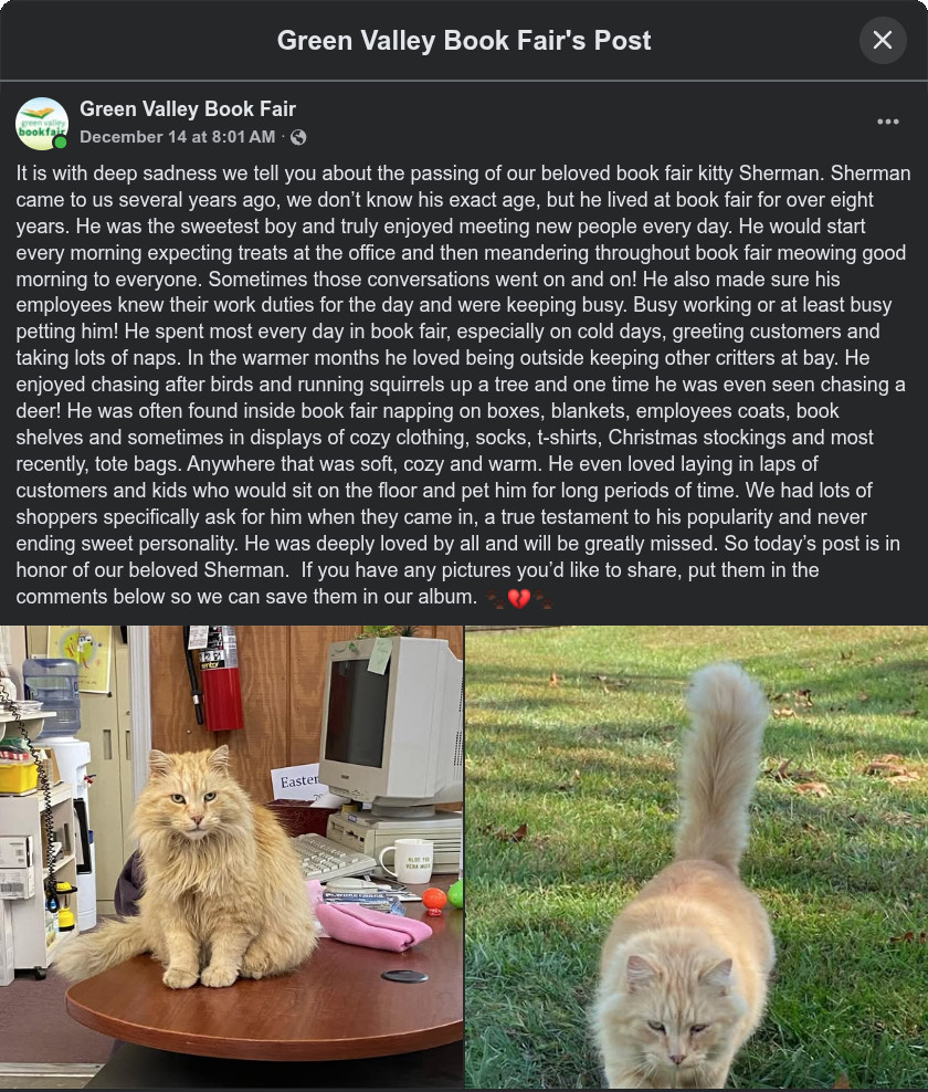 It is with deep sadness we tell you about the passing of our beloved book fair kitty Sherman. Sherman came to us several years ago, we don’t know his exact age, but he lived at book fair for over eight years. He was the sweetest boy and truly enjoyed meeting new people every day. He would start every morning expecting treats at the office and then meandering throughout book fair meowing good morning to everyone. Sometimes those conversations went on and on! He also made sure his employees knew their work duties for the day and were keeping busy. Busy working or at least busy petting him! He spent most every day in book fair, especially on cold days, greeting customers and taking lots of naps. In the warmer months he loved being outside keeping other critters at bay. He enjoyed chasing after birds and running squirrels up a tree and one time he was even seen chasing a deer! He was often found inside book fair napping on boxes, blankets, employees coats, book shelves and sometimes in displays of cozy clothing, socks, t-shirts, Christmas stockings and most recently, tote bags. Anywhere that was soft, cozy and warm. He even loved laying in laps of customers and kids who would sit on the floor and pet him for long periods of time. We had lots of shoppers specifically ask for him when they came in, a true testament to his popularity and never ending sweet personality. He was deeply loved by all and will be greatly missed. So today’s post is in honor of our beloved Sherman.  