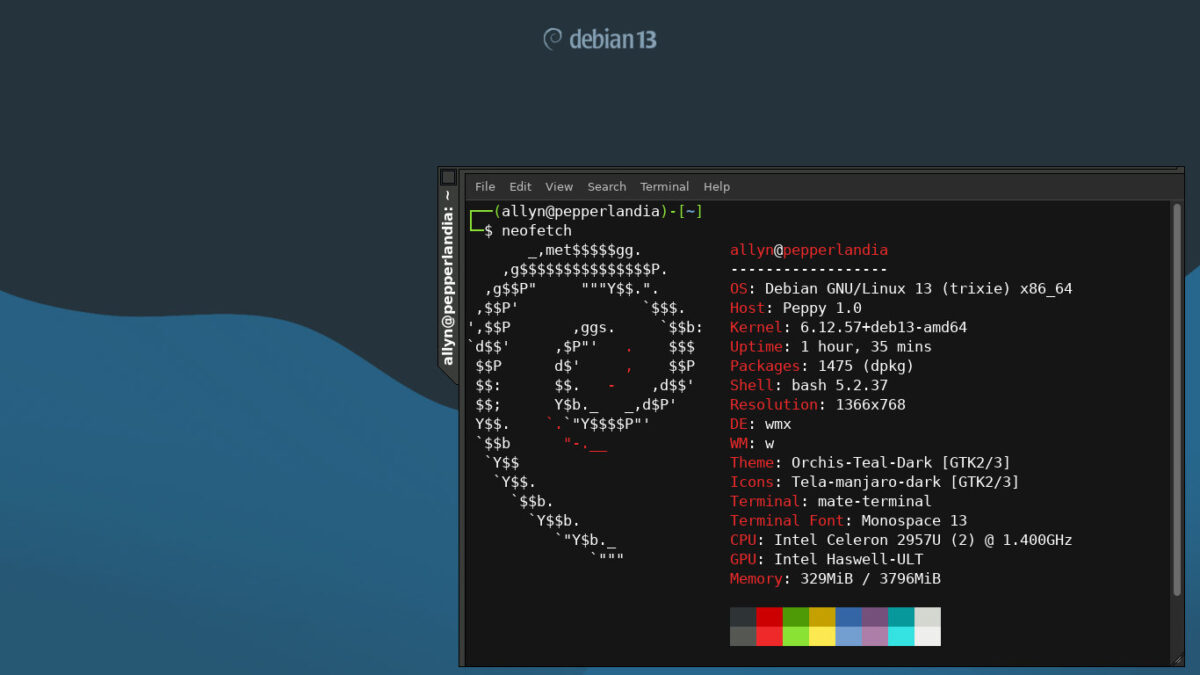 Screenshot of Debian 13 running on a Chromebook with the WMX window manager.