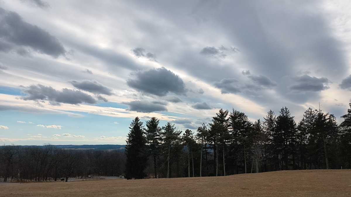 Layers of clouds, in lines, backlit by the sun overhead, over a forest
