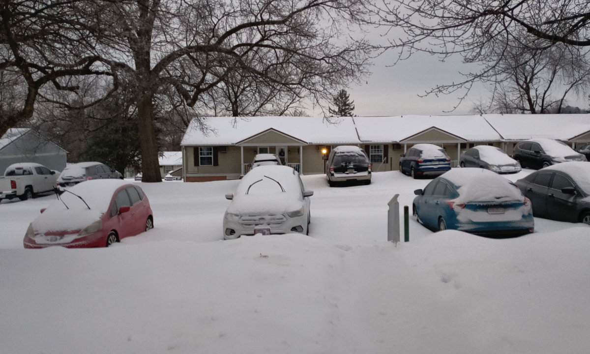 The view out my door just after dawn. The sidewalk is again covered, and everything is white.