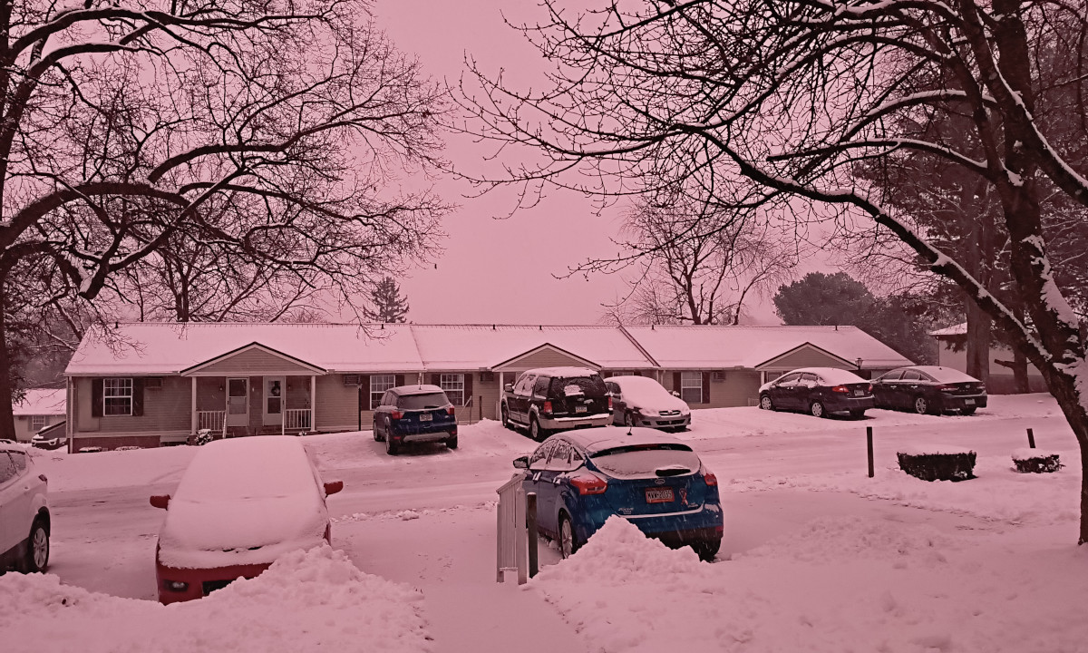 The view from my front door -- the sky is pink, the snow on the ground is pink, everything is pink!