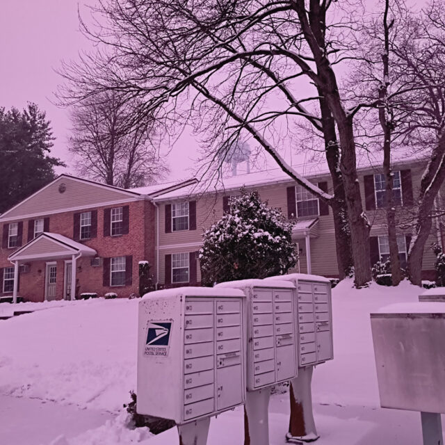 The water tower beyond the apartment complex, and the ground and sky are pink