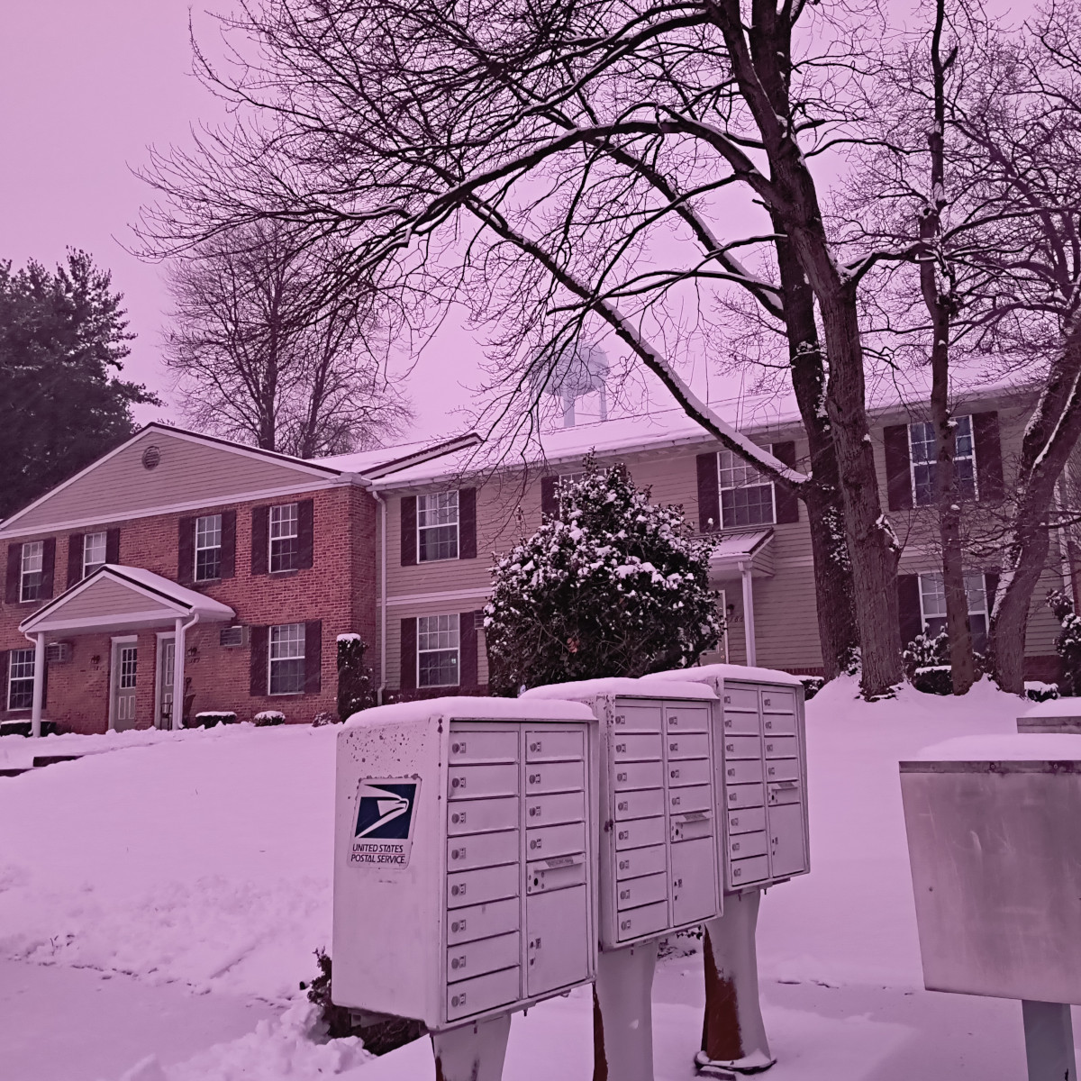 The water tower beyond the apartment complex, and the ground and sky are pink