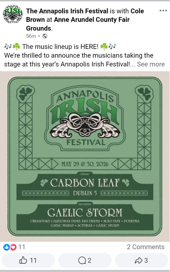 Facebook ad for the Annapolis Irish Festival, with musical acts Carbon Leaf, Gaelic Storm, Dublin 5, and Scythian
