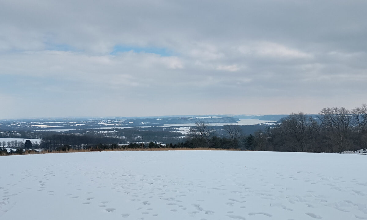 Looking south along the Susquehanna