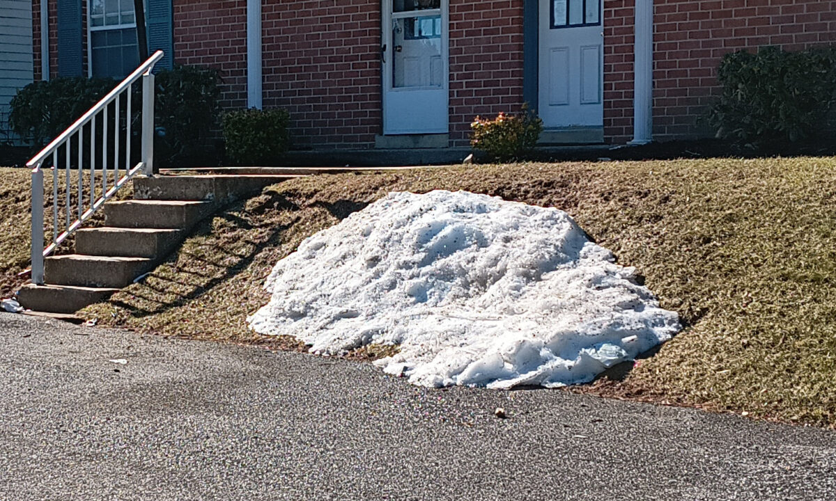 A pile of snow in my complex
