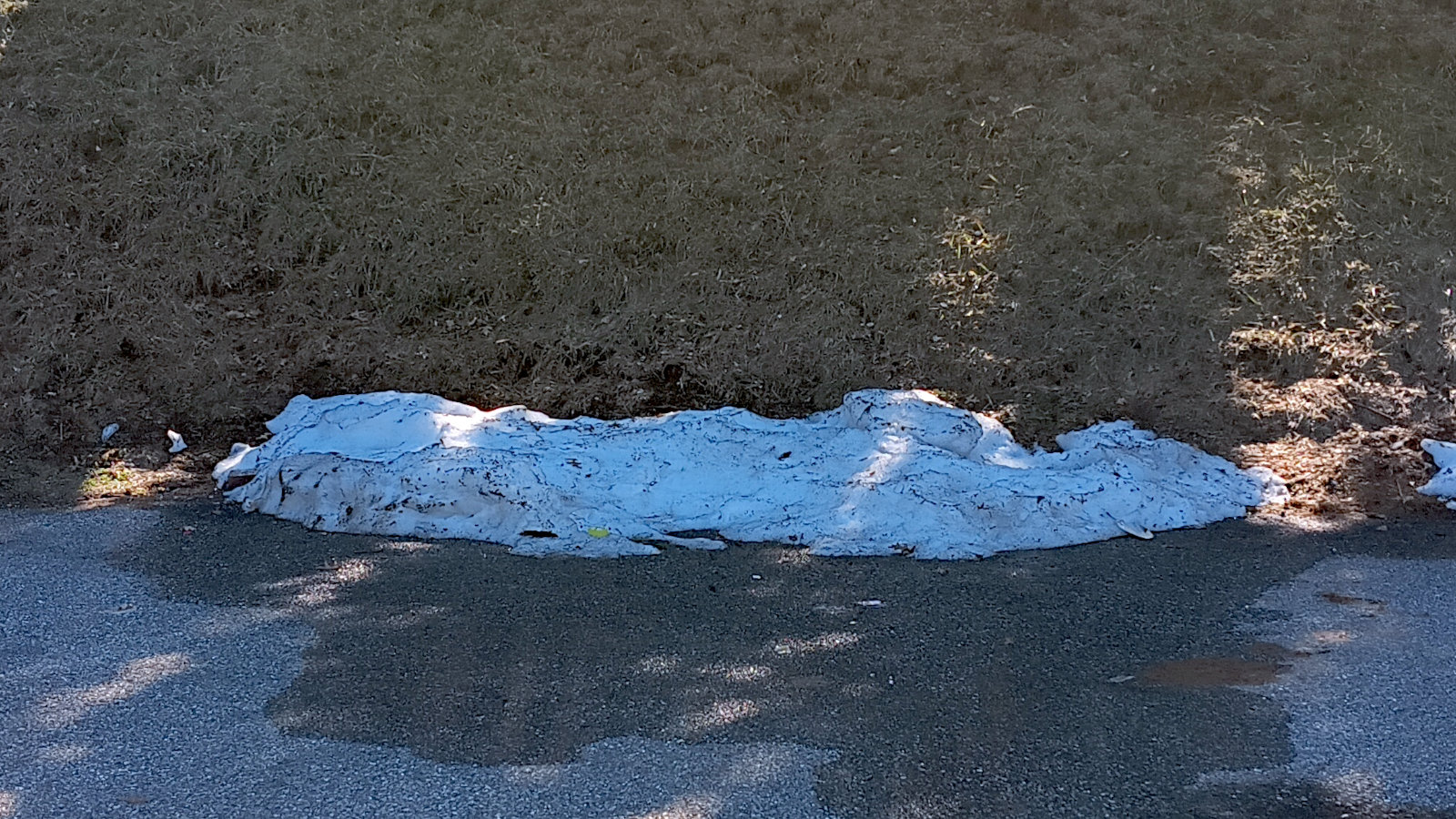 Another pile of snow in my complex, this one by the dumpsters