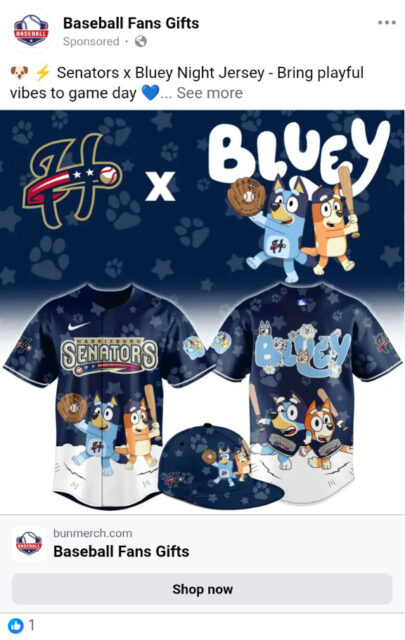 A blue Harrisburg Senators jersey with Bluey characters