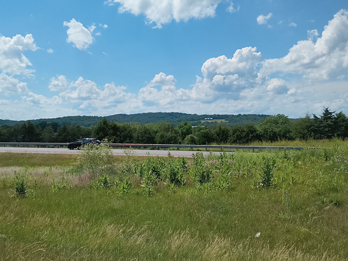The Shenandoah Valley, seen from Interestate 81 on a June afternoon when the road was shut down due to a brush fire--green hills, blue skies, puffy clouds