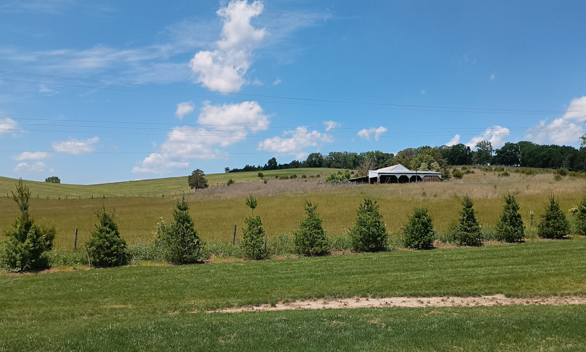 A hillside in Rockingham County, Virginia that resembles the rolling hill and clouds of the default Windows XP wallpaper, though there are trees along the hillline and there's an old horse barn